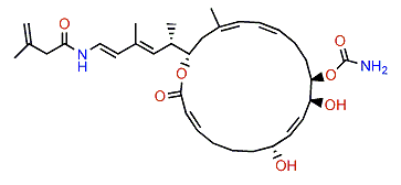 Palmerolide F